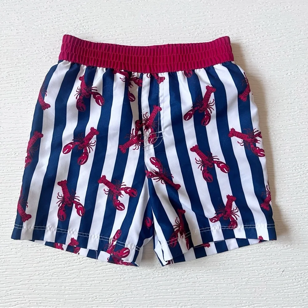 Cat & Jack Wonder Nation Toddler Swim Trunk Bundle 3T